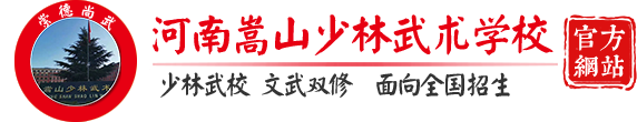 登封嵩山少林武术学校